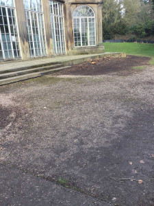 Foliage now cleared ready for renovation